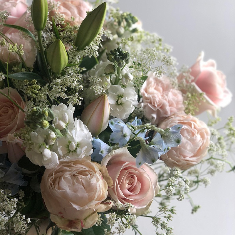 Välkommen till världen